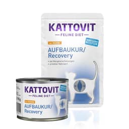 Aufbaukur/Recovery