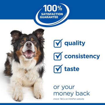 Canine Small & Mini Breed Chicken - Can