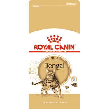 Bengal Adult