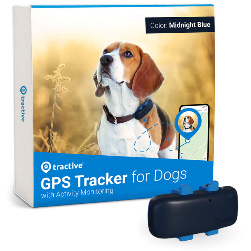Tractive GPS Tracker für Hunde kaufen bei iPet.ch