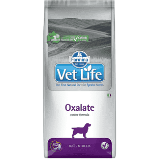 Canine Oxalate