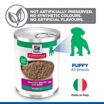 Puppy All Breeds Beef - Can