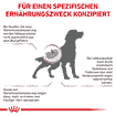 Renal Dog