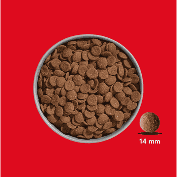 FRED Rind & Pferd Premium Trockenfutter