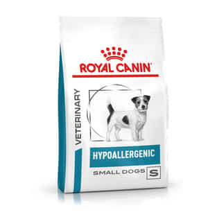 Hypoallergenic Small Dogs