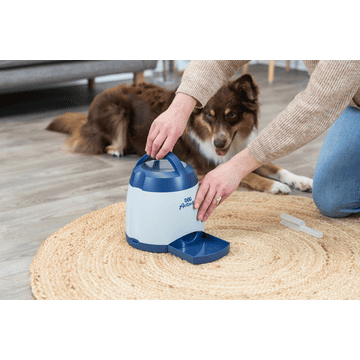 Dog Activity Memory Trainer 3.0