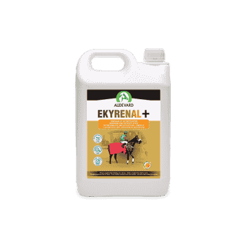 Ekyrenal Plus