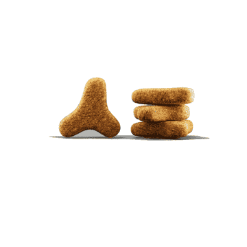 Weight & Diabetic Cat