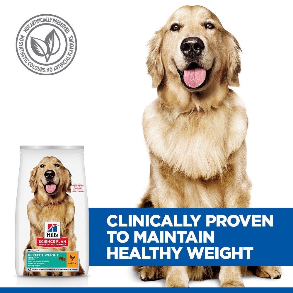 Canine Adult Perfect Weight Large Breed