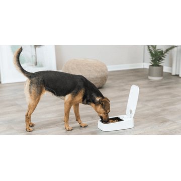 Distributeur automatique de nourriture TX1