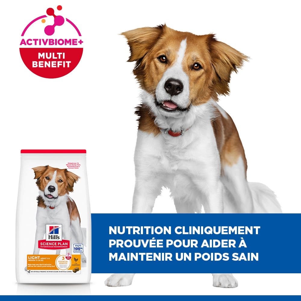 Canine Adult Light Medium Breed