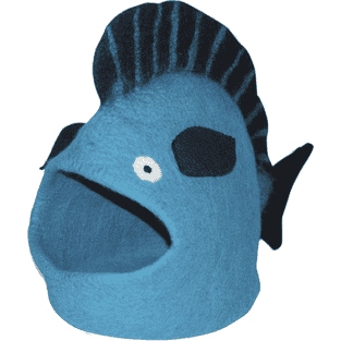 Abri Poisson Turquoise