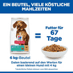 Canine Adult Perfect Weight Mini Breed