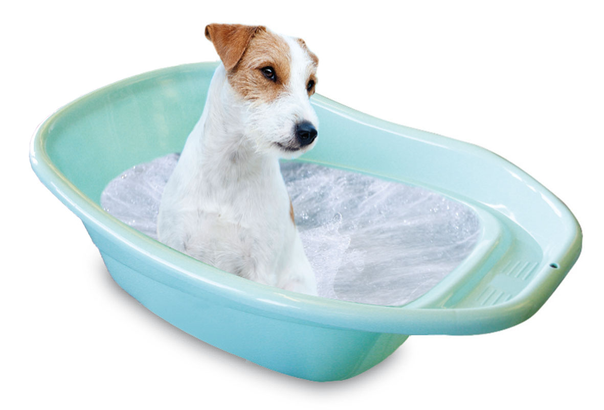 Badewanne für kleine Hunde
