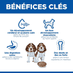 Puppy All Breeds Beef - Boîte