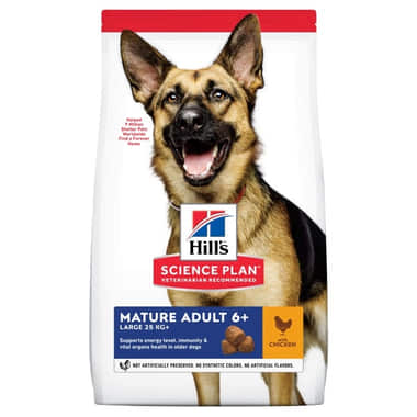 Canine Mature Adult 6+ Large Breed