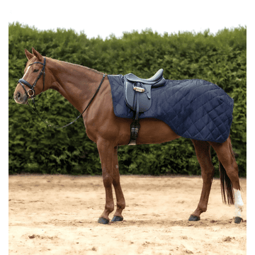 Nierendecke Exclusive