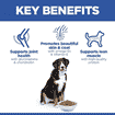 Canine Adult Large Breed Chicken