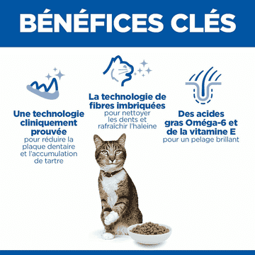 Feline Oral Care