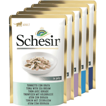 In Jelly - Thunfisch Variationen