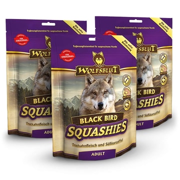Black Bird Squashies