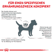 Hypoallergenic Small Dogs