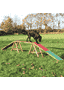 Dog Activity Dogwalk Agility