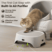AirStep - Steps for the Litter Box