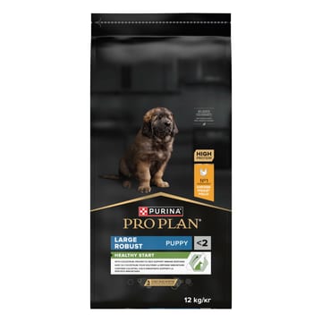LARGE ROBUST PUPPY Healthy Start