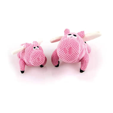 Flying Pig