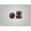 Weight & Diabetic Dog dry