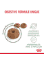 Digestive Care