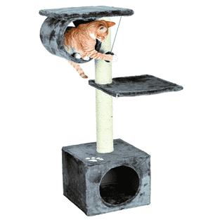 San Fernando cat scratcher