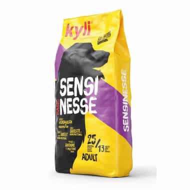 Sensinesse