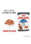 Light Weight Care Jelly - Sachet