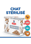 Feline Sterilised Cat Salmon - Sachet