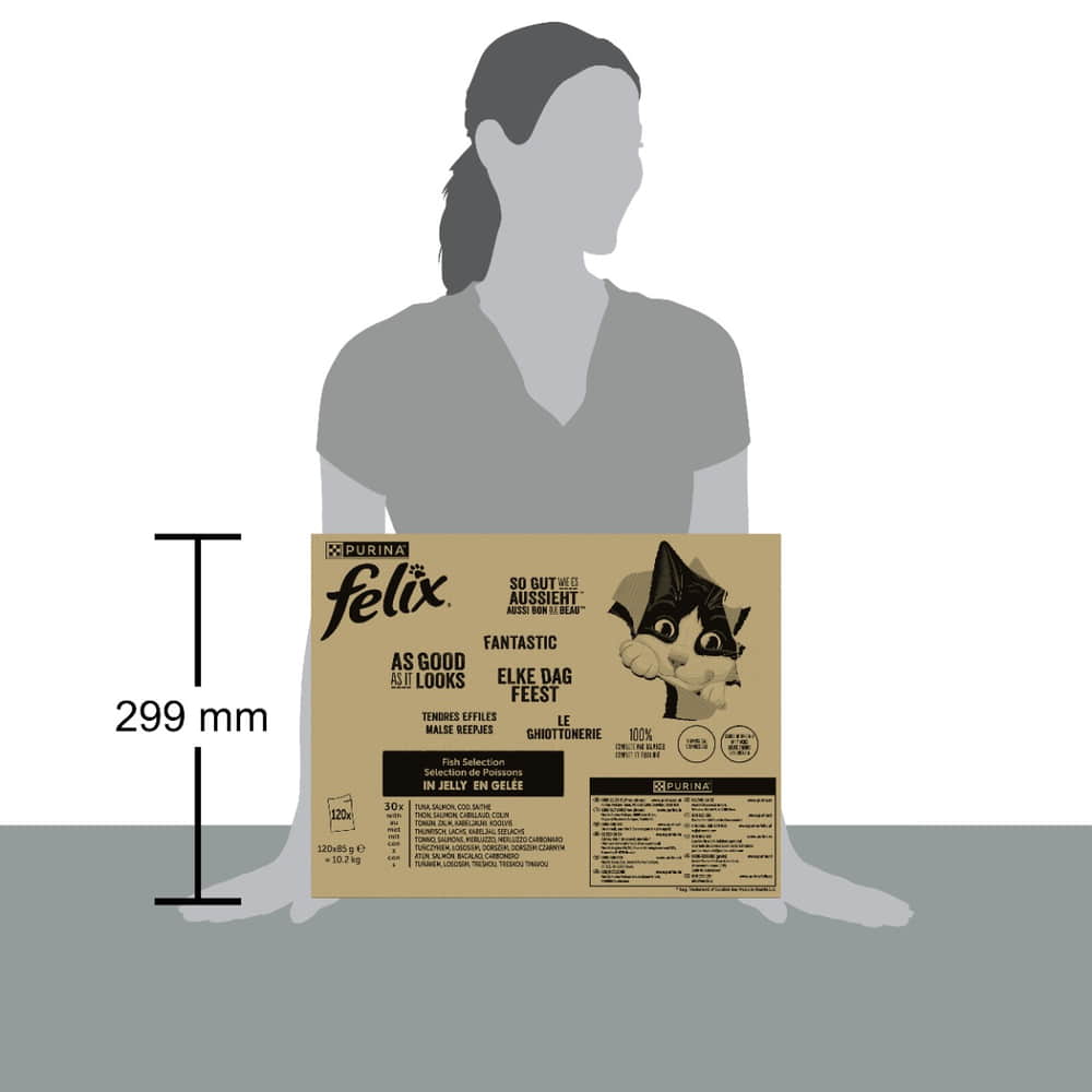 So gut wie es aussieht Fisch Mega-Jumbo Pack 120x85g