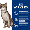 Feline k/d Kidney Care Salmon (vorher: Tuna)