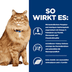 Feline k/d + j/d Kidney + Mobility - Fresh pouches