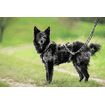 Hundegeschirr Vary Support, schwarz