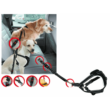 Sicherheitsgeschirr DogSafe für Hunde