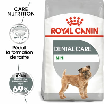 Dental Care Mini