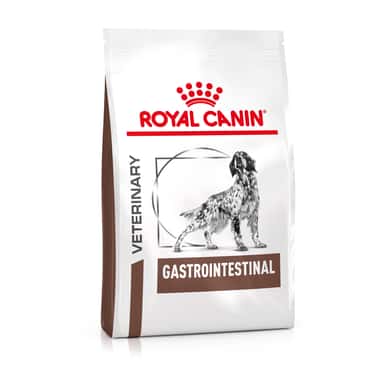 Gastrointestinal Dog