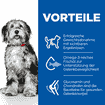 Canine Perfect Weight + Active Mobility Medium Breed