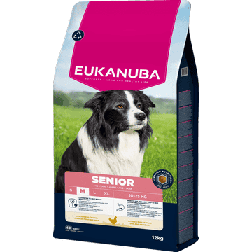 Senior Medium Breed