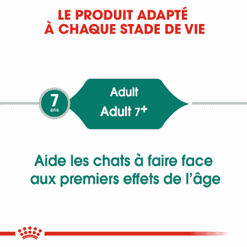 Instinctive 7+ en sauce - sachet