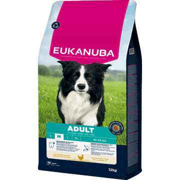 Active Adult Medium Breed