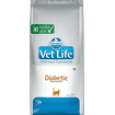 Feline Diabetic
