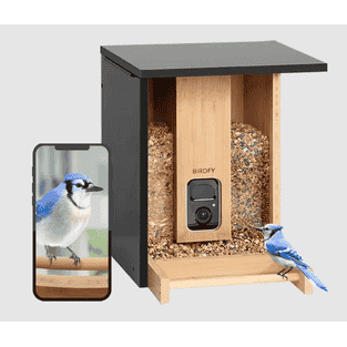 Birdfy Feeder Bamboo - Vogelhaus mit Kamera