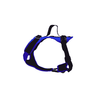 Hundegeschirr Vary, royalblau
